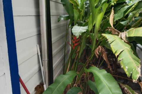 Maison à Phuket, Thaïlande 3 chambres № 148074 - photo 19