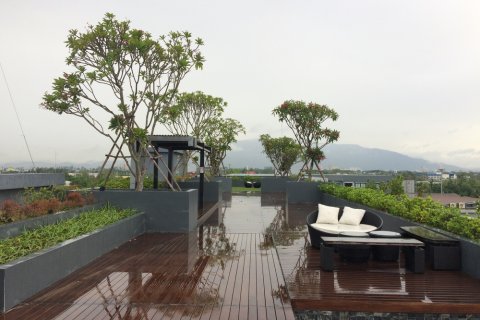 Condo à Chiang Mai, Thaïlande, 1 chambre  № 205638