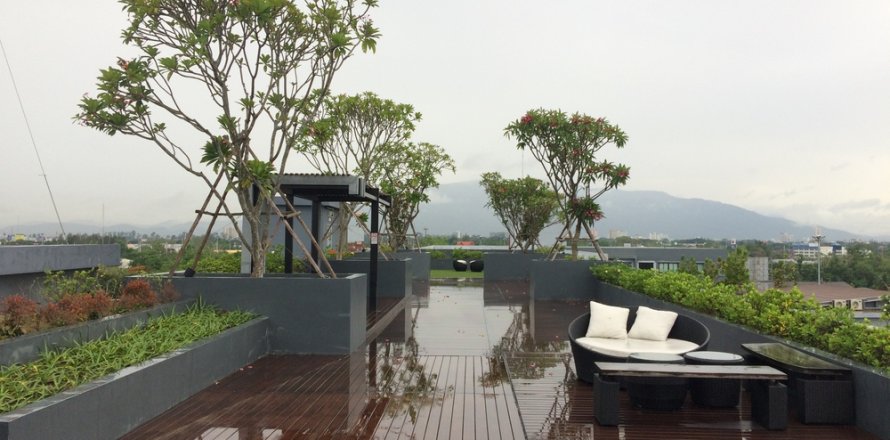Condo à Chiang Mai, Thaïlande, 1 chambre  № 205638