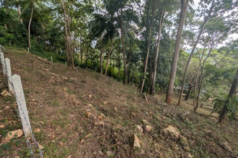 Земельный участок в Самуи, Таиланд 1869м2  № 141000 - фото 11