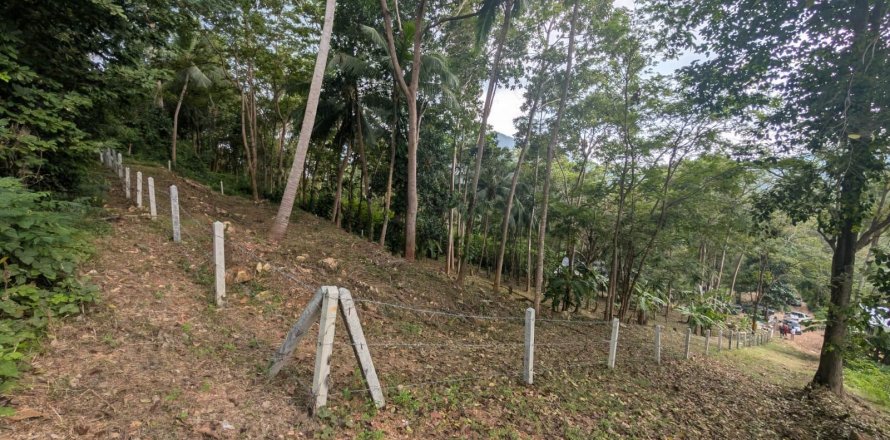 Земельный участок в Самуи, Таиланд 1869м2  № 141000