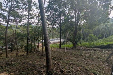 Земельный участок в Самуи, Таиланд 1869м2  № 141000 - фото 7