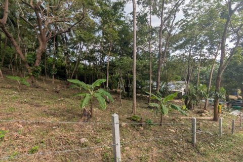 Земельный участок в Самуи, Таиланд 1869м2  № 141000 - фото 8