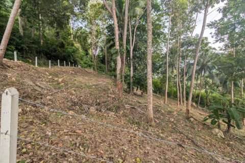 Земельный участок в Самуи, Таиланд 1869м2  № 141000 - фото 10