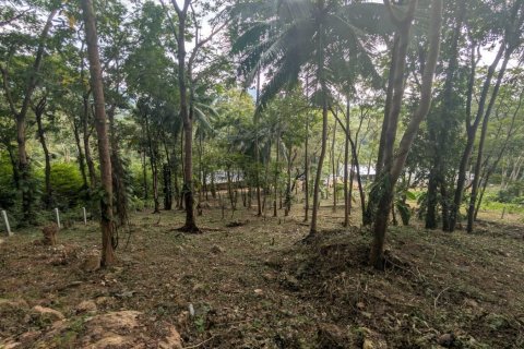 Земельный участок в Самуи, Таиланд 1869м2  № 141000 - фото 6