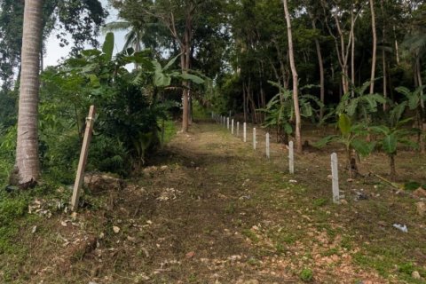 Земельный участок в Самуи, Таиланд 1869м2  № 141000 - фото 4