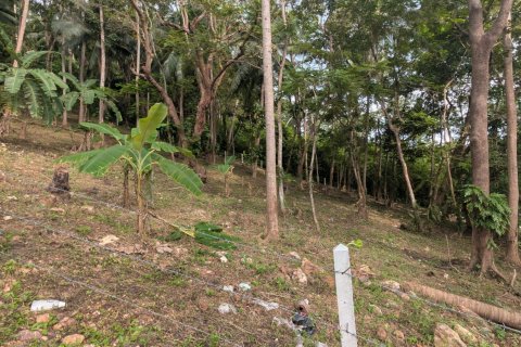 Земельный участок в Самуи, Таиланд 1869м2  № 141000 - фото 13