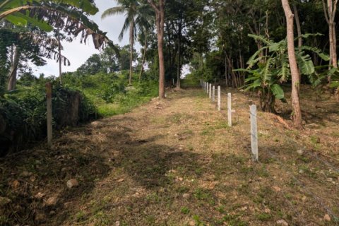 Земельный участок в Самуи, Таиланд 1869м2  № 141000 - фото 9