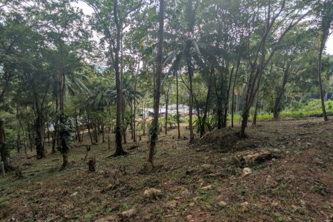 Земельный участок в Самуи, Таиланд 1869м2  № 141000 - фото 12