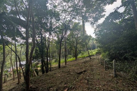 Земельный участок в Самуи, Таиланд 1869м2  № 141000 - фото 5