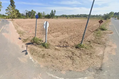 Land in Surin, Thailand 7824 sq.m. № 156629 - photo 5