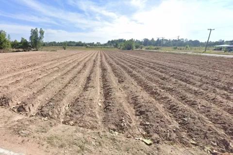 Land in Surin, Thailand 7824 sq.m. № 156629 - photo 2