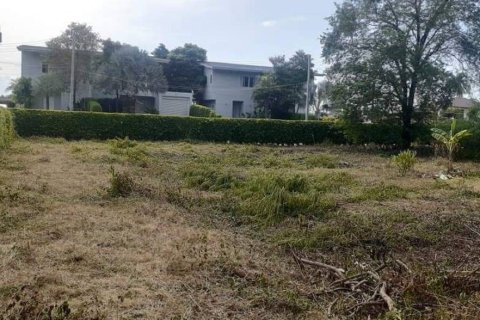 Terrain à Ko Samui, Thaïlande 3200 m2 № 156627