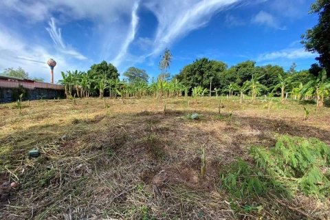 Terrain à Ko Samui, Thaïlande 3200 m2 № 156627 - photo 3