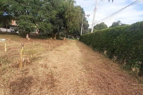 Terrain à Ko Samui, Thaïlande 3200 m2 № 156627 - photo 5