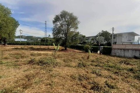 Terrain à Ko Samui, Thaïlande 3200 m2 № 156627 - photo 2