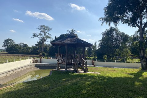 House in Chiang Mai, Thailand 4 bedrooms № 161702 - photo 3