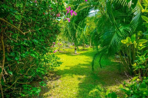 Hôtel à Phuket, Thaïlande № 161701 - photo 5