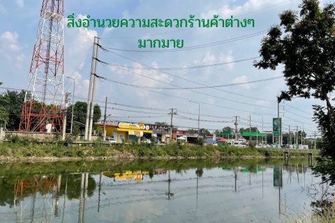 Land in Khlong Luang, Thailand 8000 sq.m. № 163216 - photo 7