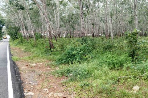 Terrain à Phuket, Thaïlande 173625 m2 № 163210 - photo 5