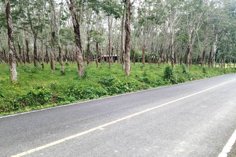 Terrain à Phuket, Thaïlande 173625 m2 № 163210 - photo 4