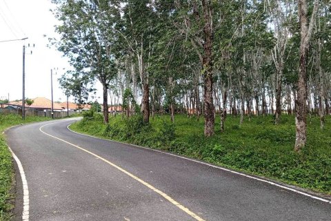 Terrain à Phuket, Thaïlande 173625 m2 № 163210 - photo 2