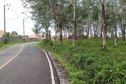 Terrain à Phuket, Thaïlande 173625 m2 № 163210 - photo 3