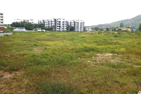 Land in Kathu, Thailand 48504 sq.m. № 163214 - photo 6