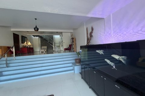 Villa in Kathu, Thailand 8 bedrooms № 161653 - photo 12