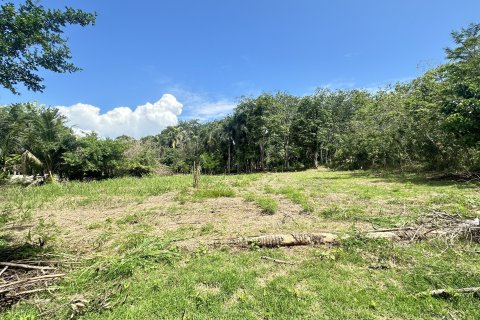 Terrain à Pa Klok, Thaïlande 1256 m2 № 161649 - photo 15