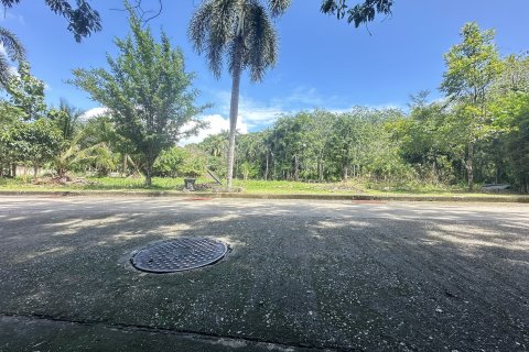 Terrain à Pa Klok, Thaïlande 1256 m2 № 161649 - photo 19