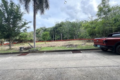 Terrain à Pa Klok, Thaïlande 1256 m2 № 161649 - photo 6