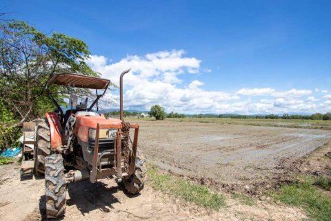 Maison à Chiang Mai, Thaïlande 4 chambres № 163922 - photo 12