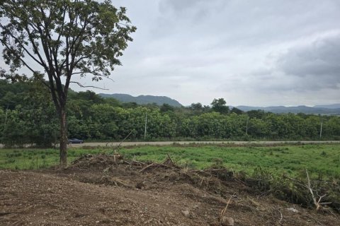 Land in Pak Chong, Thailand 84800 sq.m. № 153478 - photo 7