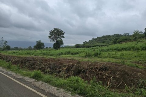 Land in Pak Chong, Thailand 84800 sq.m. № 153478 - photo 8