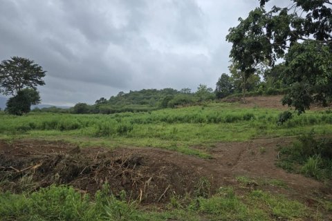 Land in Pak Chong, Thailand 84800 sq.m. № 153478 - photo 9