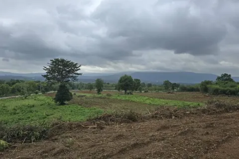 Land in Pak Chong, Thailand 84800 sq.m. № 153478 - photo 4