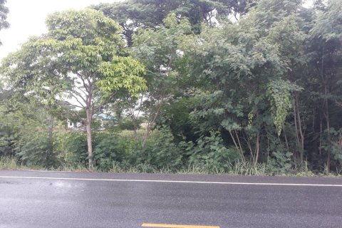 Земельный участок в Пра Пхуттхабате, Таиланд 39344м2  № 153476 - фото 4