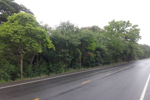 Земельный участок в Пра Пхуттхабате, Таиланд 39344м2  № 153476 - фото 5