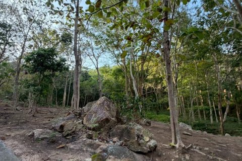 Land in Ko Samui, Thailand 20800 sq.m. № 164244 - photo 3