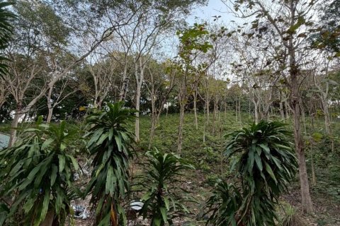 Land in Ko Samui, Thailand 20800 sq.m. № 164244 - photo 4