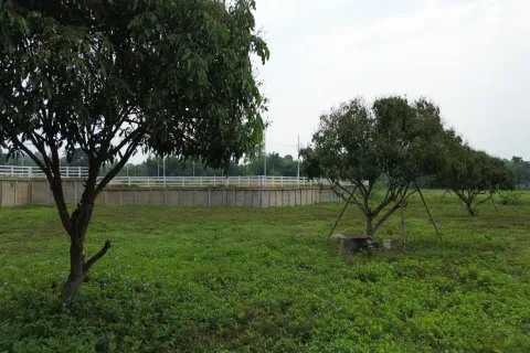 Land in Chiang Mai, Thailand № 162780 - photo 7