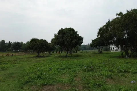 Terrain à Chiang Mai, Thaïlande № 162780 - photo 10