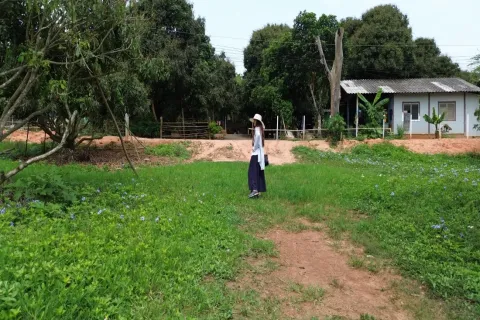 Land in Chiang Mai, Thailand № 162780 - photo 12