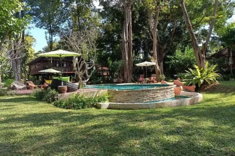 Propriété commerciale à Chiang Mai, Thaïlande 600 m2 № 162781 - photo 5