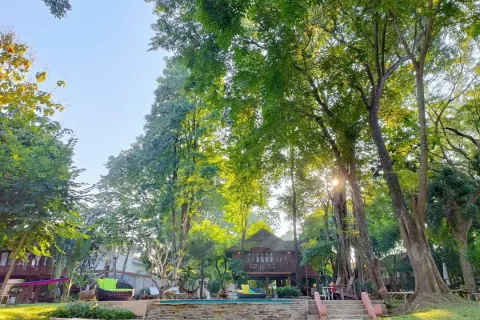 Propriété commerciale à Chiang Mai, Thaïlande 600 m2 № 162781 - photo 6