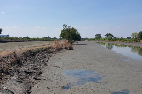 Land in Lat Krabang, Bangkok, Thailand 19181 sq.m. № 156440 - photo 2