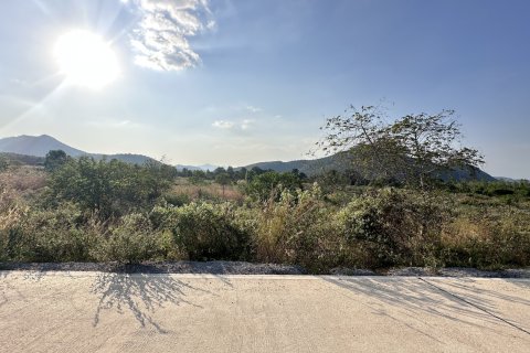 Land in Hua Hin, Thailand 9600 sq.m. № 156445 - photo 3