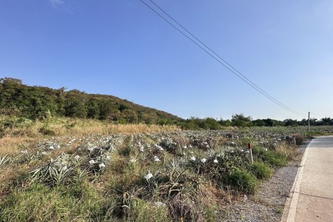Land in Hua Hin, Thailand 9600 sq.m. № 156445 - photo 9