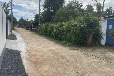 Terrain à Krabi, Thaïlande 1600 m2 № 156441 - photo 7